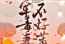 小说《日久生情:将军毒妻不好惹》章节阅读-够力荐小说推荐网