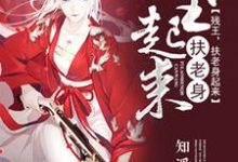 残王,扶老身起来明侨宁风李汐月宁意婷小说大结局免费试读-够力荐小说推荐网
