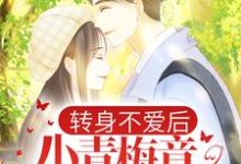 《转身不爱后,小青梅竟当众表白》小说大结局免费试读 苏辰顾伶依小说-够力荐小说推荐网