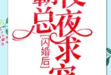 闪婚后:霸总夜夜求宠安然乔御琛黎穗霍谨之小说免费阅读-够力荐小说推荐网