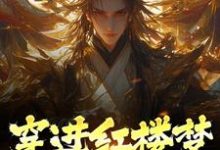 《穿进红楼梦,开局被充军》小说大结局免费试读 贾琛小说-够力荐小说推荐网