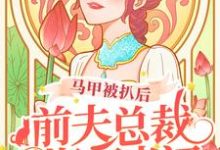 马甲被扒后,前夫总裁悔不当初免费阅读,马甲被扒后,前夫总裁悔不当初章节目录-够力荐小说推荐网