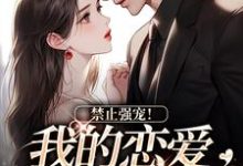 禁止强宠!我的恋爱我做主小说的免费阅读版本在哪里可以找到?-够力荐小说推荐网