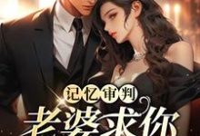 记忆审判：老婆求你看我一眼小说的免费阅读版本在哪里可以找到？-够力荐小说推荐网