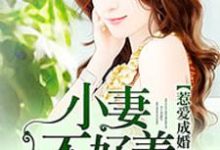 已完结小说《惹爱成婚:小妻不好养》章节在线阅读-够力荐小说推荐网