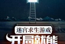 迷宫求生游戏：开局就能看到提示周晨叶诗诗小说完结版章节在线阅读-够力荐小说推荐网