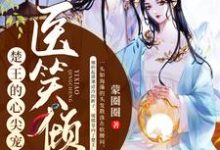 免费在线阅读医笑倾城：楚王的心尖宠妃小说的正规网站有哪些？-够力荐小说推荐网
