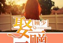 完结版《顾少,娶一赠二》在线免费阅读-够力荐小说推荐网