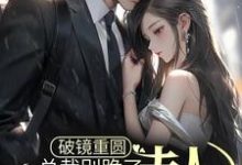 破镜重圆:总裁别跪了,夫人拒绝原谅这本小说怎么样?免费在线阅读试试-够力荐小说推荐网