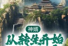 神婿:从转生开始称霸大唐小说,神婿:从转生开始称霸大唐在线阅读-够力荐小说推荐网