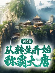 神婿：从转生开始称霸大唐小说，神婿：从转生开始称霸大唐在线阅读