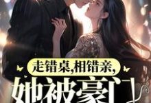 走错桌,相错亲,她被豪门强宠了!秦苒陆陞小说在线章节目录阅读最新章节-够力荐小说推荐网