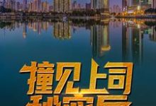 撞见上司秘密后,他平步青云了小说完结版章节免费阅读-够力荐小说推荐网