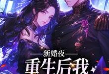 沈南溪傅时宴小说新婚夜:重生后我扑倒冷面霸总在线阅读章节-够力荐小说推荐网