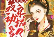 天才弃妃：王妃又轰动京城了小说的最新章节在哪里更新？免费追踪阅读-够力荐小说推荐网