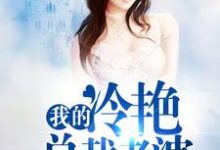 我的冷艳总裁老婆小说,我的冷艳总裁老婆章节在线阅读-够力荐小说推荐网