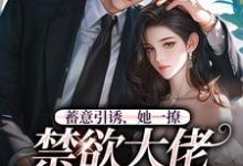 《蓄意引诱,她一撩,禁欲大佬心狂跳》小说大结局免费试读 阮梨孟鹤忱小说-够力荐小说推荐网