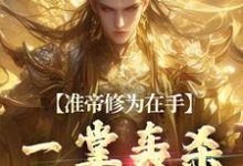 准帝修为在手,一掌轰杀气运之子小说阅读,准帝修为在手,一掌轰杀气运之子完结版-够力荐小说推荐网