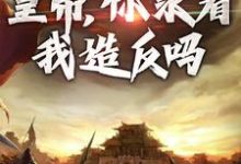 免费看削藩交兵权,皇帝,你求着我造反吗小说的网站有哪些?-够力荐小说推荐网