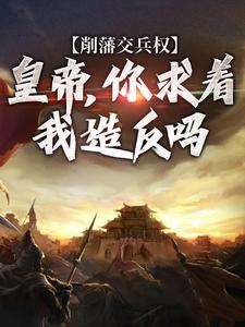免费看削藩交兵权，皇帝，你求着我造反吗小说的网站有哪些？