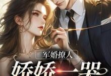军婚撩人,娇娇一哭,他疯魔了江慕柠小说免费阅读-够力荐小说推荐网