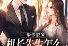白星稀黎礼小说完结版在线阅读，步步紧诱：机长先生怎么不遵守协议免费看-够力荐小说推荐网