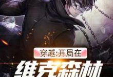 穿越：开局在维克森林打爆所有人（高德克里斯阿炮）在线免费阅读-够力荐小说推荐网