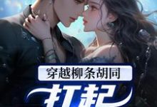 穿越柳条胡同,扛起家族大任免费阅读,穿越柳条胡同,扛起家族大任章节在线阅读-够力荐小说推荐网