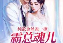 纯欲金丝雀一撩，霸总魂儿都在飘小说有没有完整的免费版本在线阅读？-够力荐小说推荐网