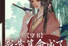 凌秀秀叶雪尘小说叫什么(穿书:我靠算命成了修真界万人迷免费阅读)-够力荐小说推荐网