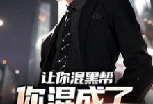 让你混黑帮,你混成了社会英雄?方正小说在线章节免费阅读-够力荐小说推荐网