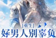《重生:好男人别辜负,渣男别放过》全集免费在线阅读(姜南栀傅承洲)-够力荐小说推荐网