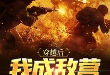 穿越后我成敌营大反派周正青鹰崎拓人在线章节免费阅读-够力荐小说推荐网
