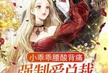 小说《小乖乖腰酸背痛，强制爱总裁是疯批》章节阅读-够力荐小说推荐网