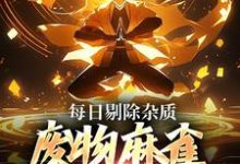 徐晏司灵羽小说叫什么(每日剔除杂质,废物麻雀变凤凰免费阅读)-够力荐小说推荐网