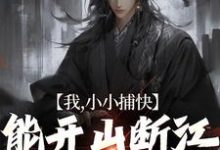 我,小小捕快,能开山断江很合理吧小说全文阅读需要付费吗?寻找免费资源-够力荐小说推荐网