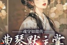 魂穿如懿传,曹琴默主掌后宫大权小说的无弹窗阅读体验,寻找免费阅读网站-够力荐小说推荐网