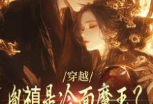 穿越：胤禛是冷面魔王？历史骗我！最新章节，穿越：胤禛是冷面魔王？历史骗我！免费阅读-够力荐小说推荐网