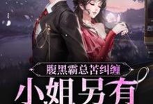 在线寻找腹黑霸总苦纠缠,小姐另有心上人小说的无删减版本-够力荐小说推荐网