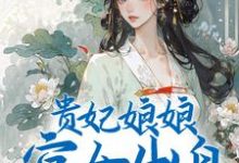 贵妃娘娘宫女出身,皇上偏宠着小说的最新章节在哪里更新?免费追踪阅读-够力荐小说推荐网