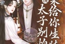许锦意小说在线章节免费阅读(系统:太子别怕,我来给你生娃了无弹窗无删减)-够力荐小说推荐网