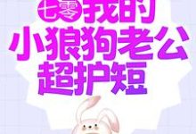 已完结小说《七零:我的小狼狗老公超护短》在线章节阅读-够力荐小说推荐网