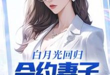 白月光回归，合约妻子和我离婚了小说有没有完整的免费版本在线阅读？-够力荐小说推荐网
