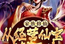 家族修仙：从经营仙宝商铺开始这本小说完结了吗？免费查看最新章节-够力荐小说推荐网