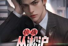 抗战:从淞沪保卫战开始这本小说在哪里可以看?哪里有免费试读章节?-够力荐小说推荐网