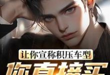 求让你宣称积压车型,你直接买脱销?小说的全文免费阅读链接-够力荐小说推荐网