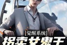 觉醒系统:拐卖女鬼王就变无敌这本小说怎么样?免费在线阅读试试-够力荐小说推荐网