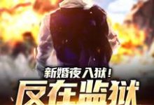 已完结小说《新婚夜入狱!反在监狱成大佬》章节免费阅读-够力荐小说推荐网