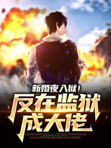 已完结小说《新婚夜入狱！反在监狱成大佬》章节免费阅读