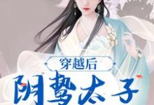穿越后,阴鸷太子为爱发疯小说有没有完整的免费版本在线阅读?-够力荐小说推荐网